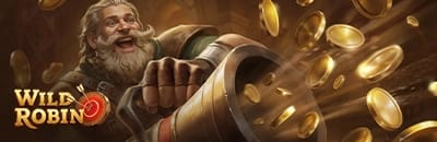 wildrobin-casino-banner